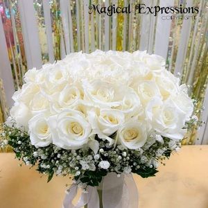 Meet your Posher, Johneeva